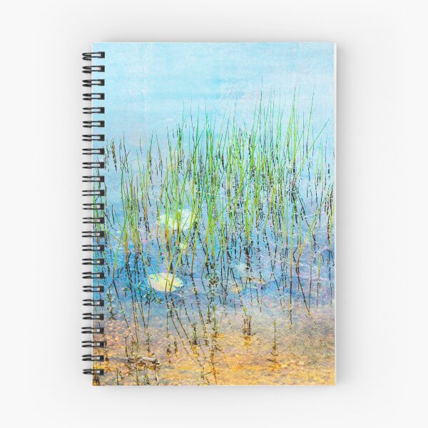 Item preview, Shallow Reeds designed and sold by John Rivera.