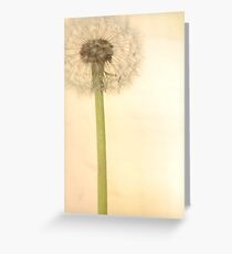 Fata Morgana Greeting Card