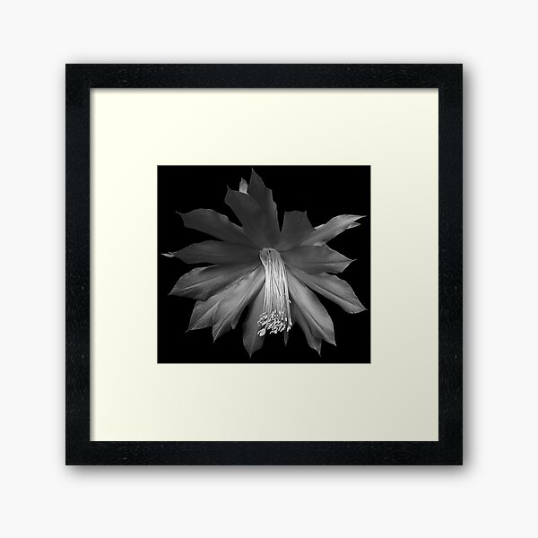 Item preview, Cactus Flower designed and sold by Carol Bleasdale.