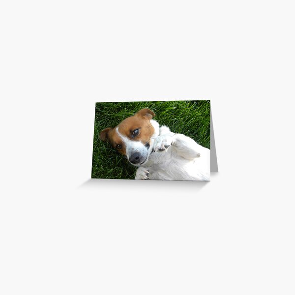 My Pal Spanky Greeting Card