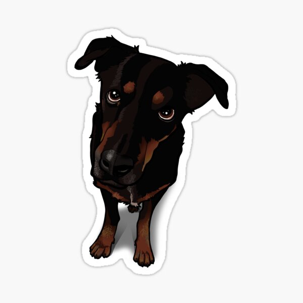 Sunny (rottweiler mix) Sticker