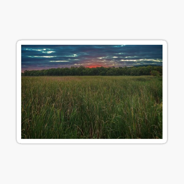 Igniting sunset Sticker