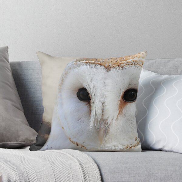 Item preview, Rustic Barn Owl Bird Modern Country Modern Cottage Chic Matted Picture USA A512 designed and sold by byNicol.