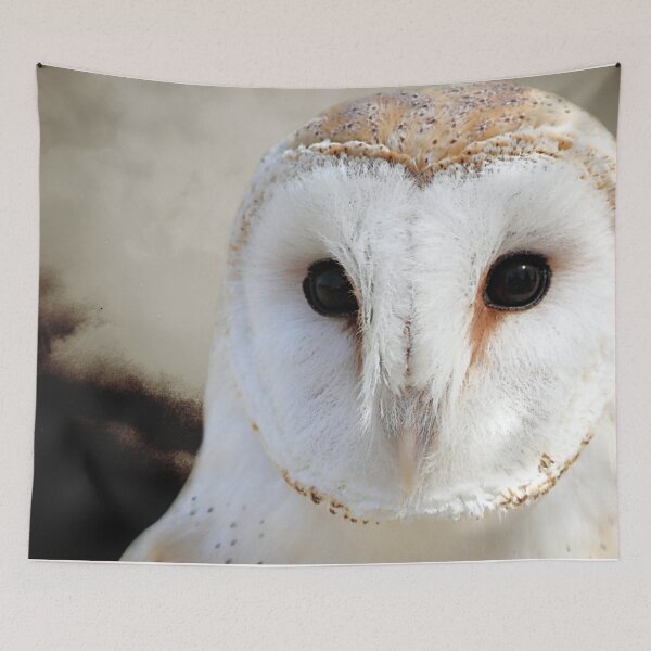 Item preview, Rustic Barn Owl Bird Modern Country Modern Cottage Chic Matted Picture USA A512 designed and sold by byNicol.