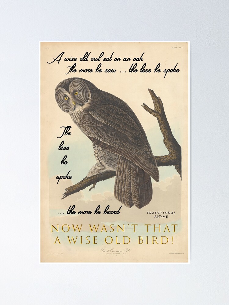 wise-old-owl-quote-vintage-print-poster-for-sale-by-lindacooke