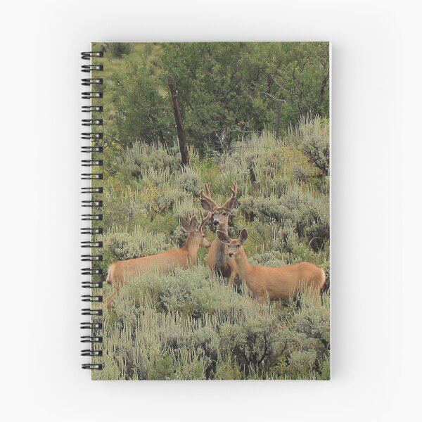 Item preview, Colorado Mule Deer of Autumn designed and sold by HeartsFlourish.