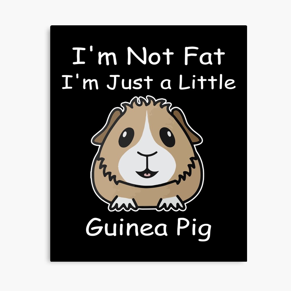 Fat guinea pigs