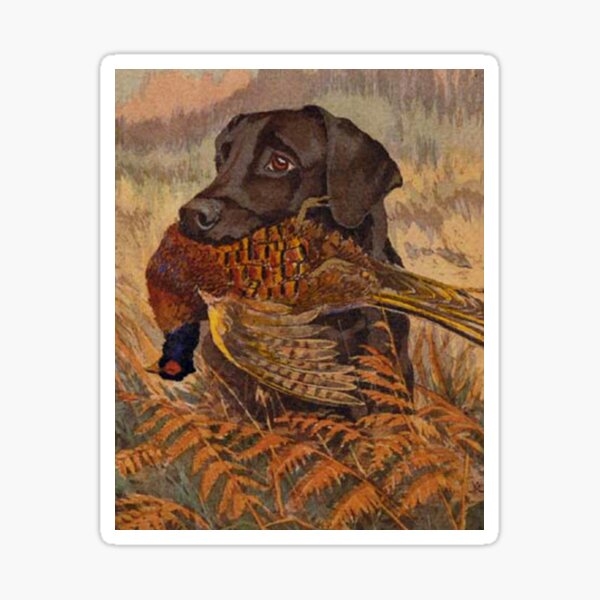 Item preview, Vintage Chocolate Lab Hunting  designed and sold by BravuraMedia.