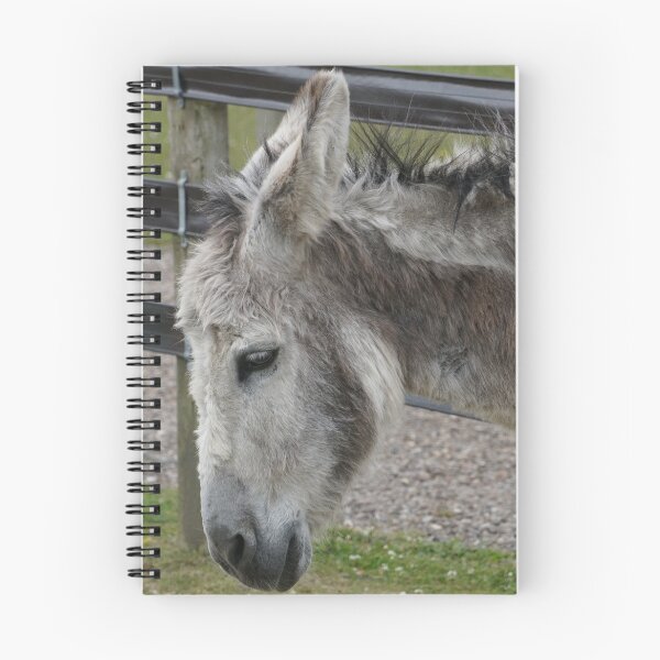 Item preview, Pandora the donkey designed and sold by NikkiMatthews.