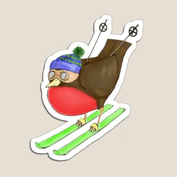 Skiing Robin Magnet