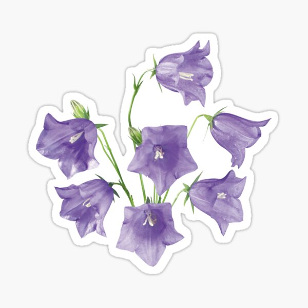 Aperçu de l'œuvre FLEURS créée et vendue par Olga Chetverikova.