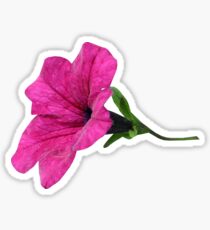 DARK PINK FLOWER Sticker