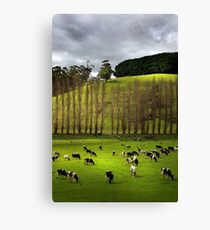 Bucolic Canvas Print