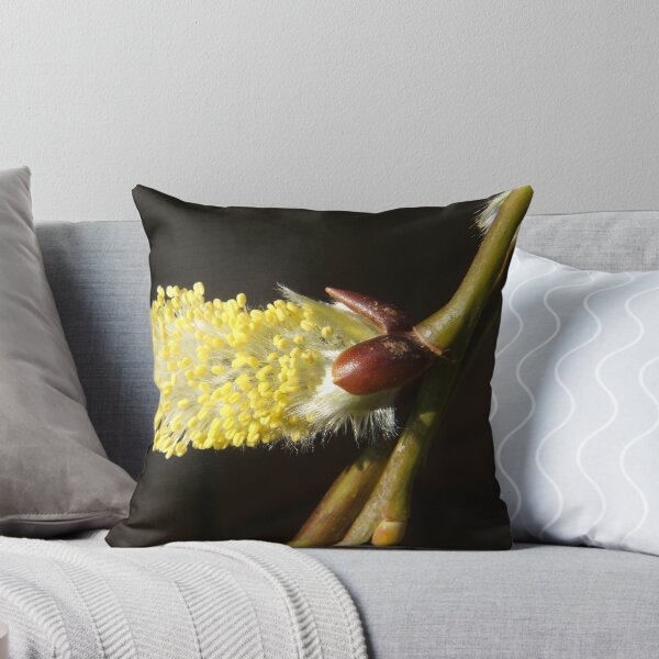 Item preview, Catkin designed and sold by Johindes.