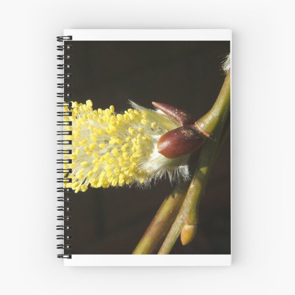 Item preview, Catkin designed and sold by Johindes.