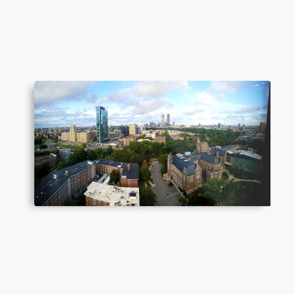 Emmanuel College Skyline Metal Print