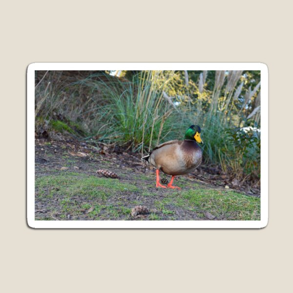 Artikelvorschau, Happy duck entworfen und verkauft von G-Design.