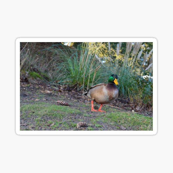 Item preview, Happy duck designed and sold by G-Design.