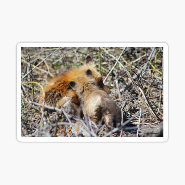 Item preview, Vixen and Pup Snuggle designed and sold by Gilda Axelrod.