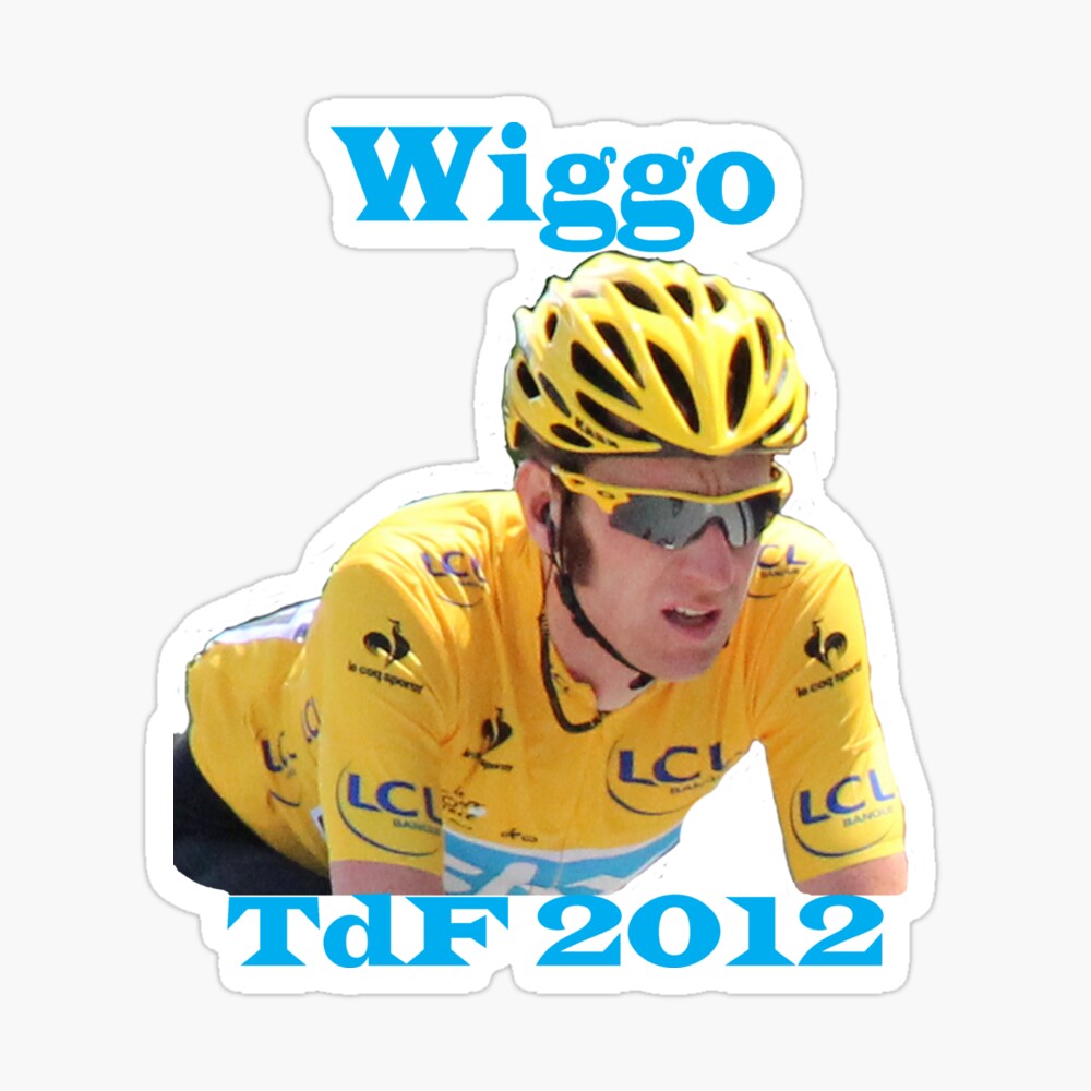 wiggins junior bike helmet