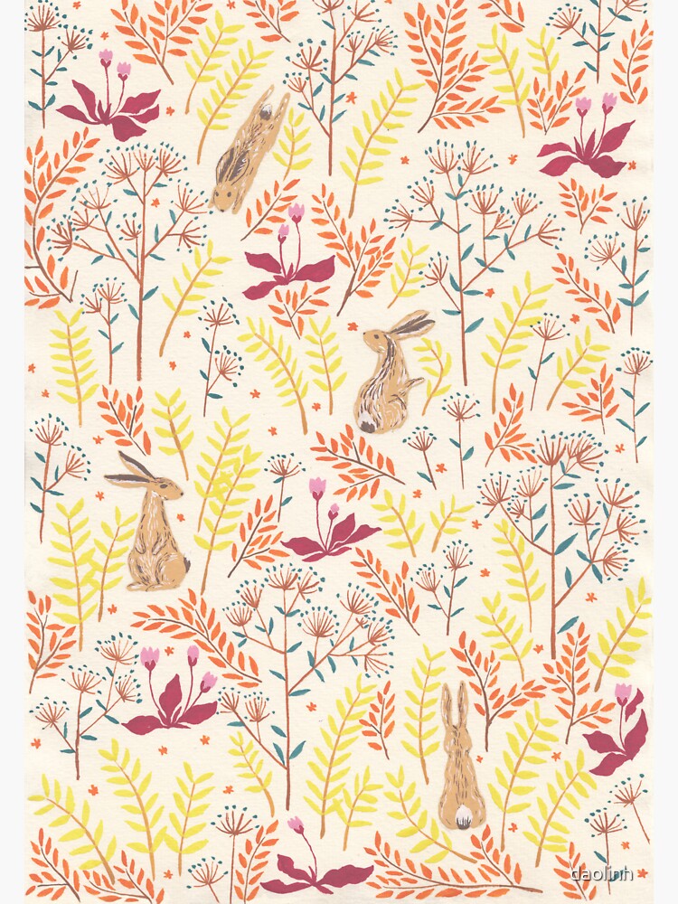 rabbits field by daolinh