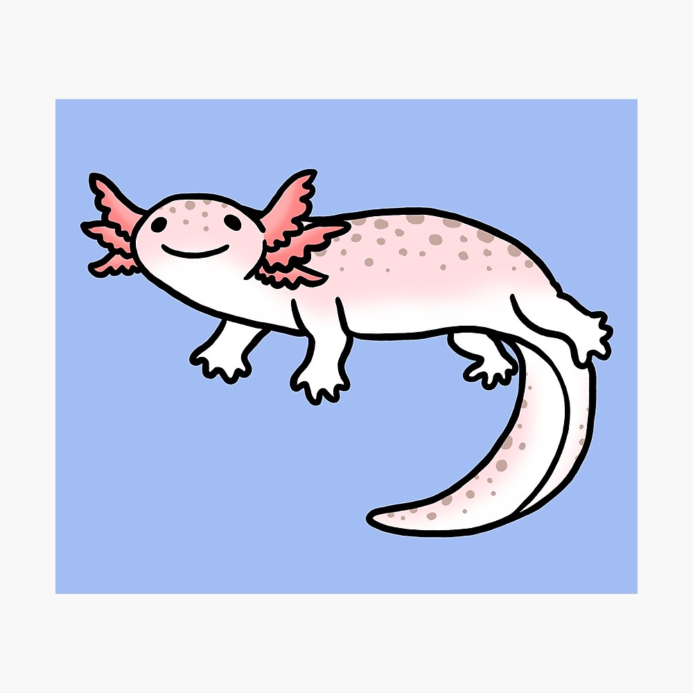 Cute Smiling Axolotl Salamander Poster By Ashleyveldhuis Redbubble