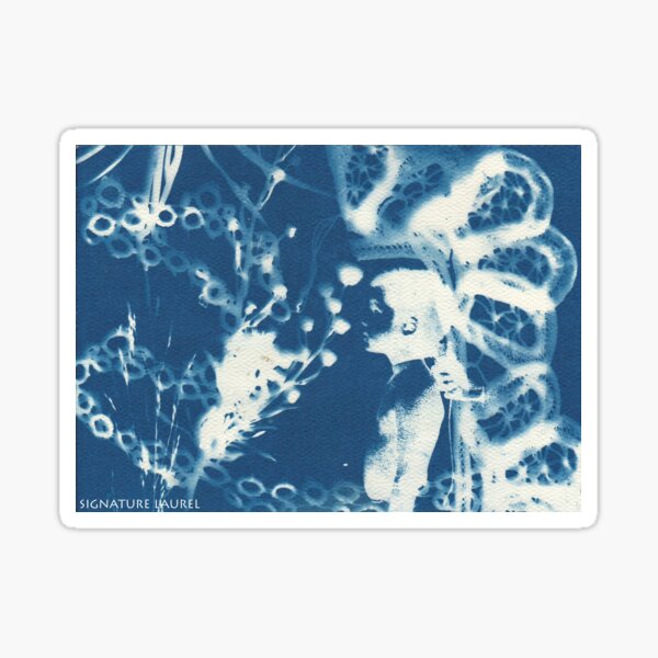 Cyanotype Boy Sticker