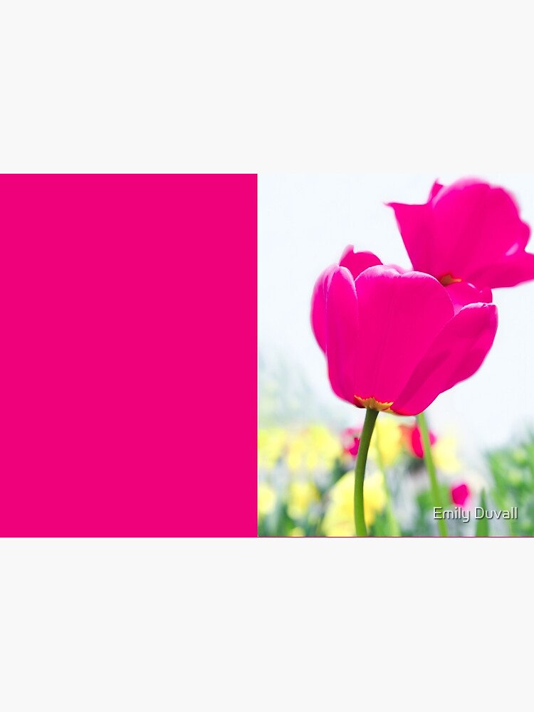 Hot Pink Prelude by PeaceAndBeauty