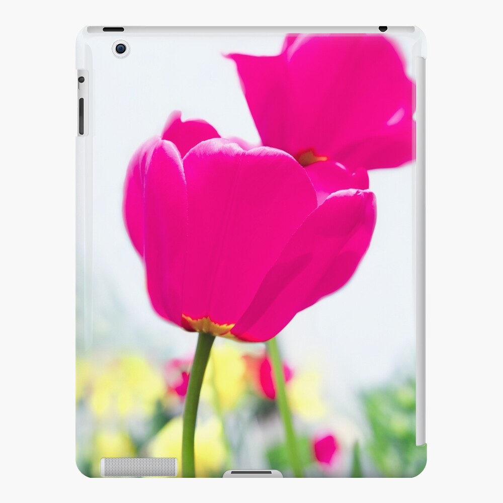 Hot Pink Prelude iPad Case & Skin