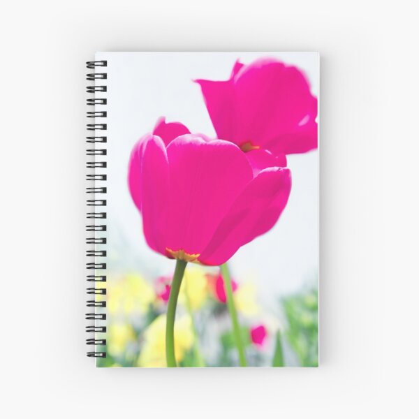 Hot Pink Prelude Spiral Notebook