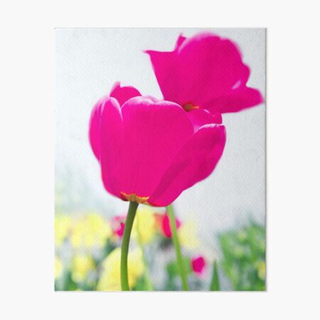 Hot Pink Prelude Art Board Print