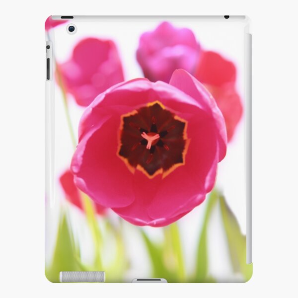 Bright Beginnings iPad Snap Case