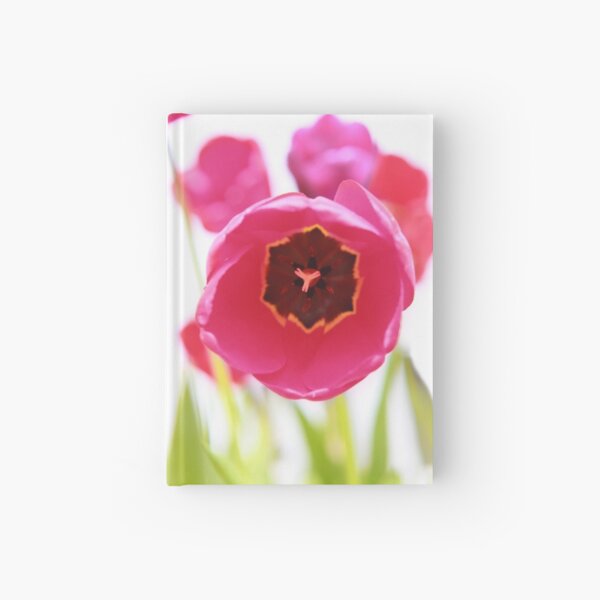 Bright Beginnings Hardcover Journal