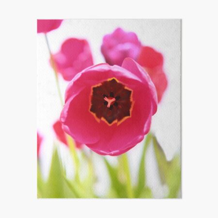 Bright Beginnings Art Board Print