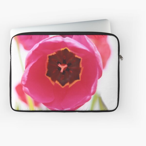 Bright Beginnings Laptop Sleeve