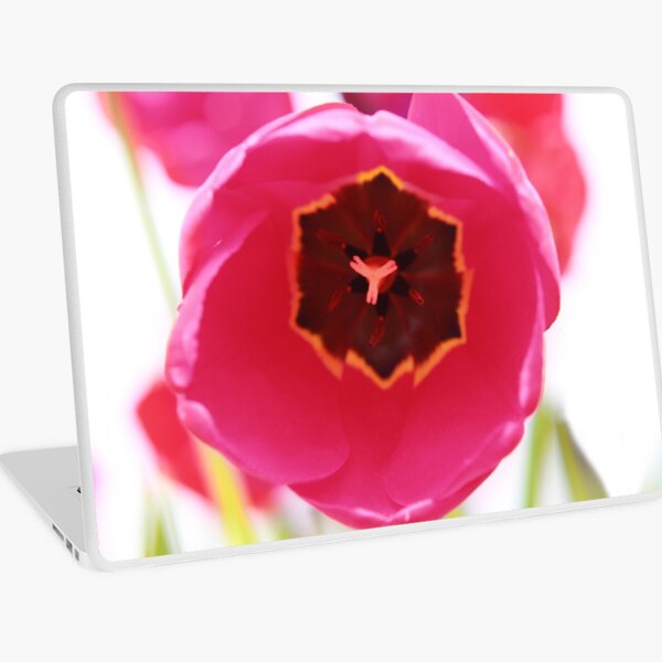 Bright Beginnings Laptop Skin