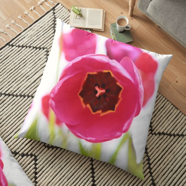 Bright Beginnings Floor Pillow