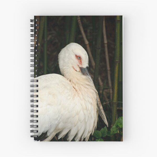 Item preview, Oriental White Stork - Ciconia boyciana designed and sold by Tracey  Dryka.