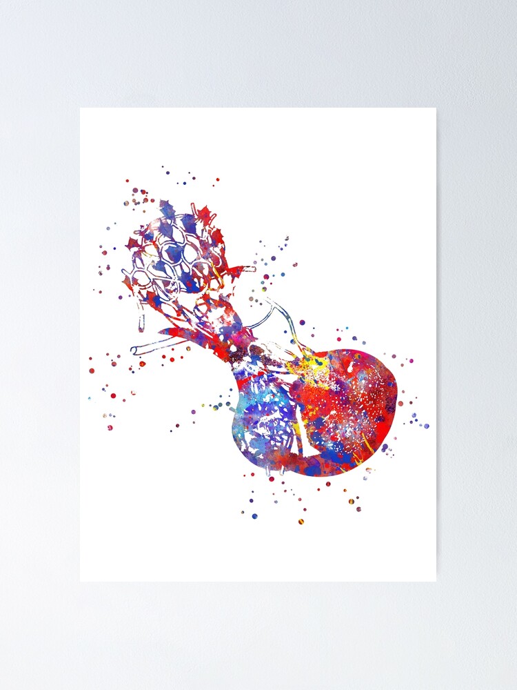 Hypophyse Gehirn Anatomie Medizinische Kunst Aquarell Gehirn Hypophyse Print Abstrakte Gehirn Medizinische Kunst Poster Von Rosaliartbook Redbubble