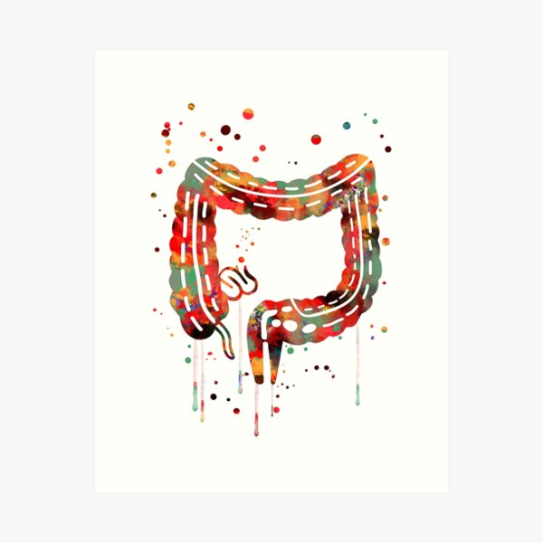 Item preview, Lower gastrointestinal tract, digestive system stomach, colon designed and sold by Rosaliartbook.
