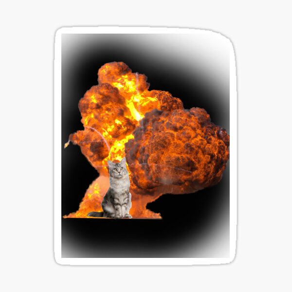 "Explosion Cat" Sticker for Sale by EM88BATMAN | Redbubble