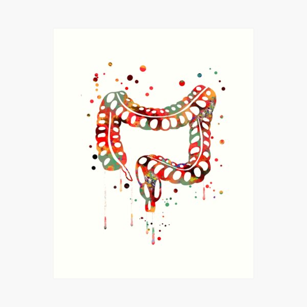 Item preview, Lower gastrointestinal tract, digestive system stomach, colon designed and sold by Rosaliartbook.