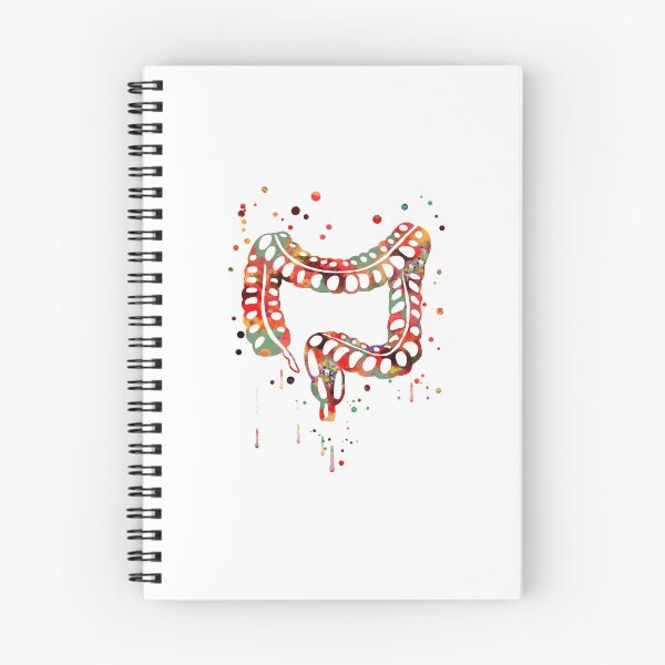 Item preview, Tracto gastrointestinal inferior, sistema digestivo estómago, colon designed and sold by Rosaliartbook.