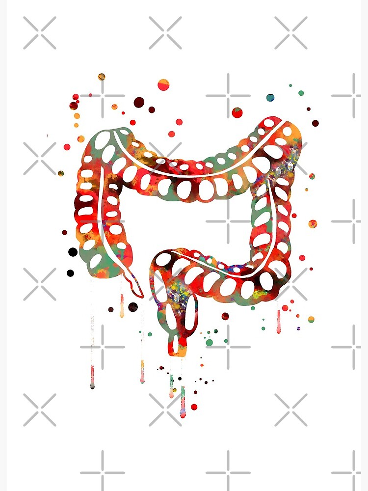 Digestive System Gastrointestinal Tract Watercolor Art Shirt Digestive System Gastrointestinal Tract Watercolor Art Shirt