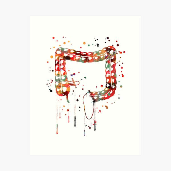 Item preview, Lower gastrointestinal tract, digestive system stomach, colon designed and sold by Rosaliartbook.