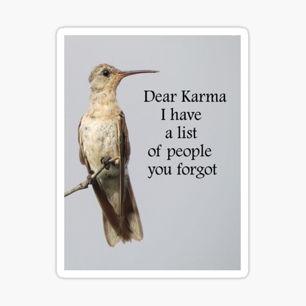 Dear Karma Sticker