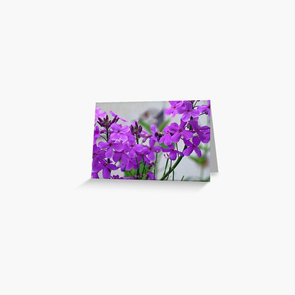 Weed? What Weed? Greeting Card