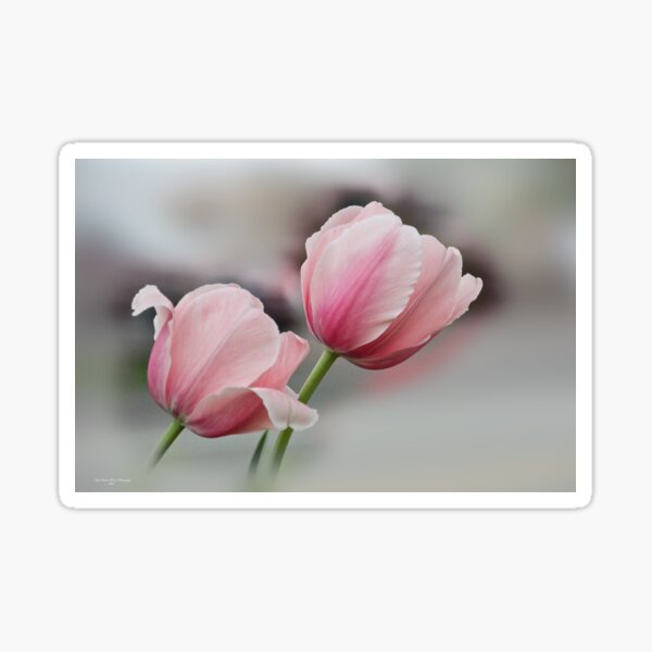 Twin Pinks Sticker