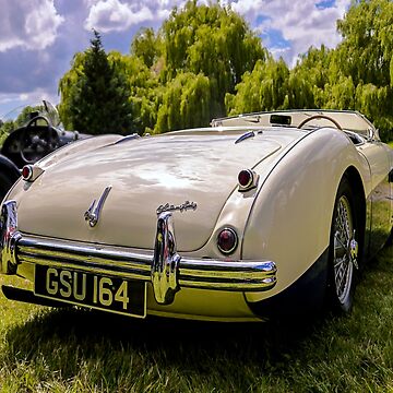 Artwork thumbnail, 1955 Austin Healey by ScenicViewPics