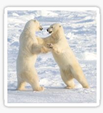 Dance of the white bears (I) Sticker